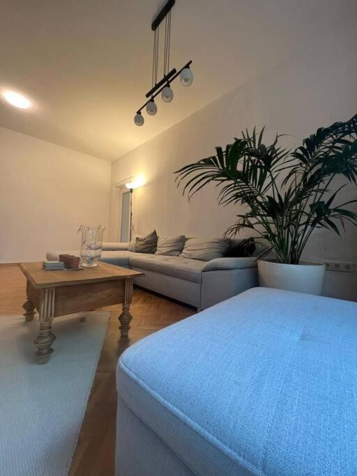 Ganzes Haus In Der Altstadt, Ideal Fuer 2 Personen, 4 Gaeste Moeglich ควาเคนบรุค ภายนอก รูปภาพ